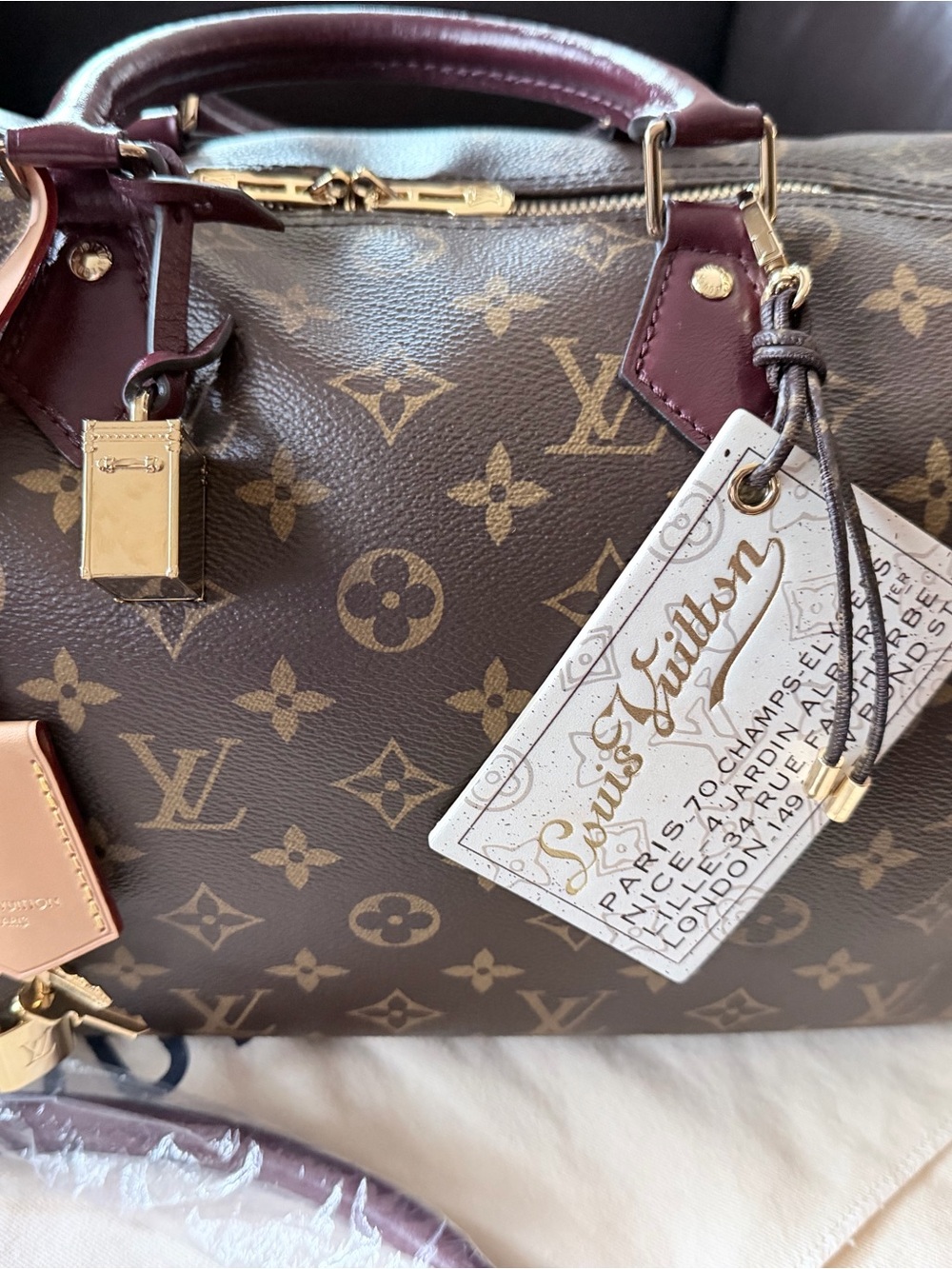 Louis Vuitton Soft Speedy 30 Celebration EXCELLENT CONDITION